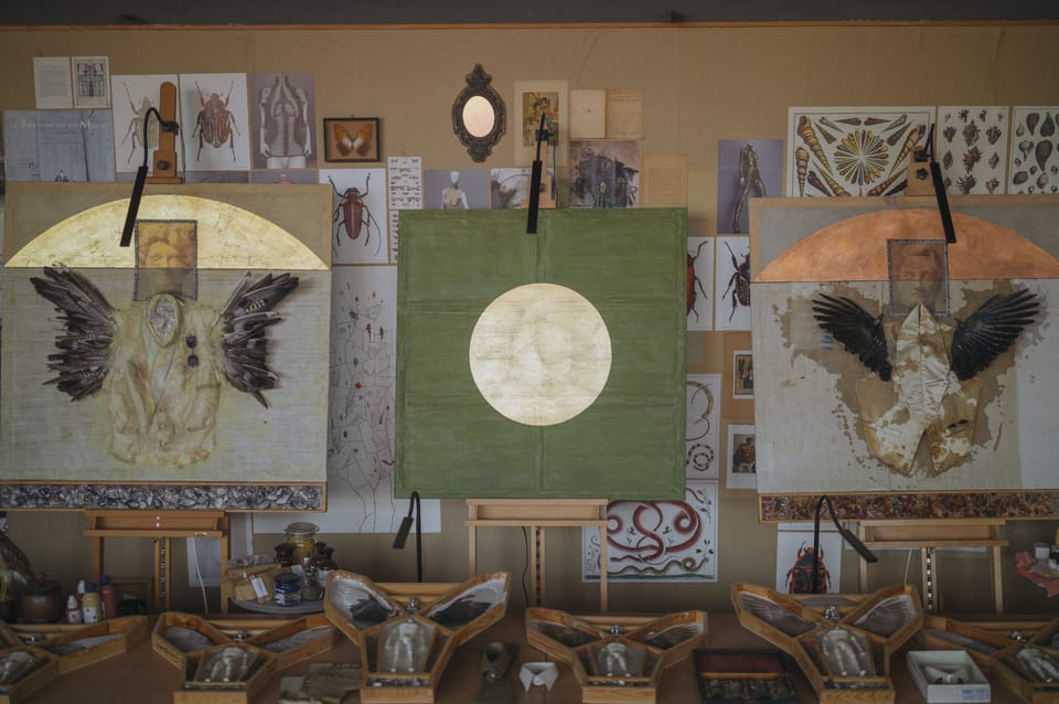 Exploring the possibilities of silk